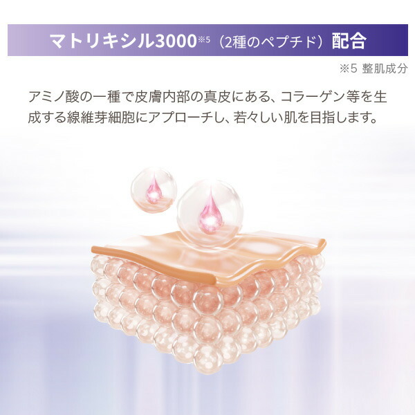 楽天市場】【期間限定20%OFF! 通常価格3850円税込⇒3080円税込