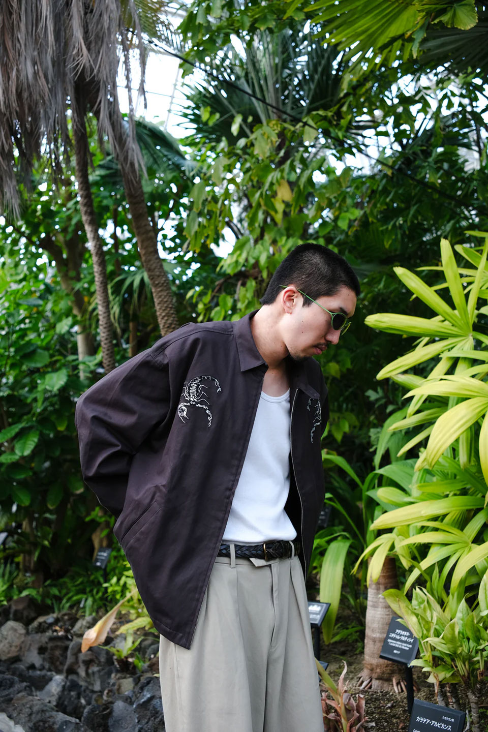 楽天市場】TENBOX 10匣 テンボックス スイングトップ Scorpion