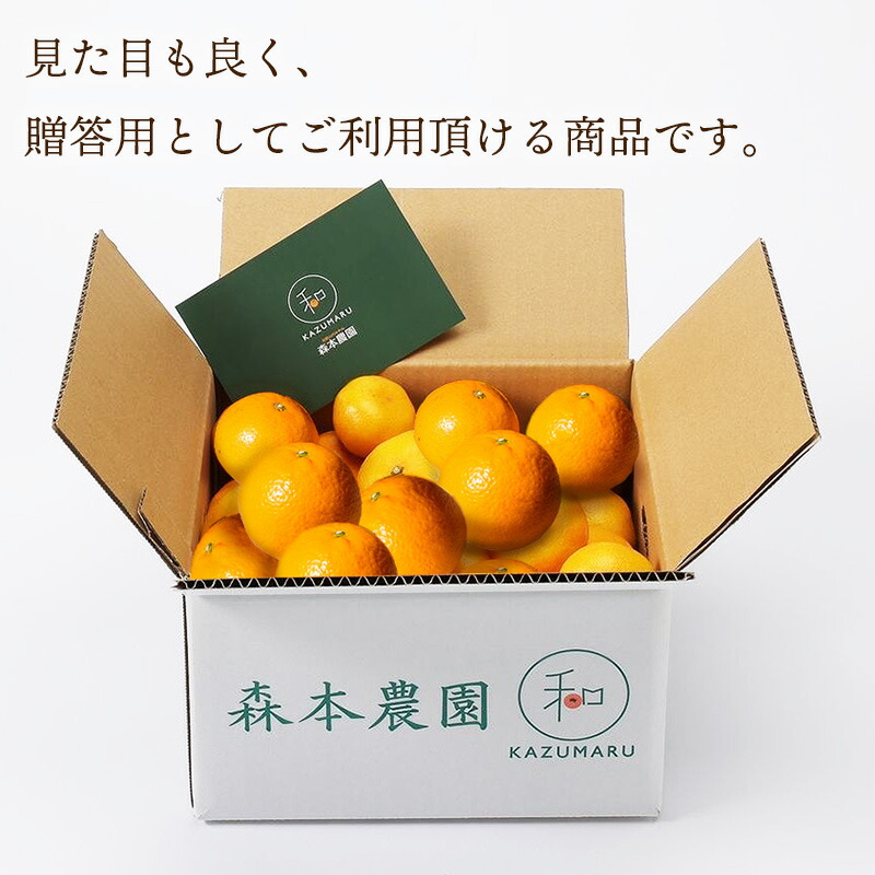 楽天市場】エントリーでP13倍! 【2026年2月中旬〜5/15お届け】和歌山