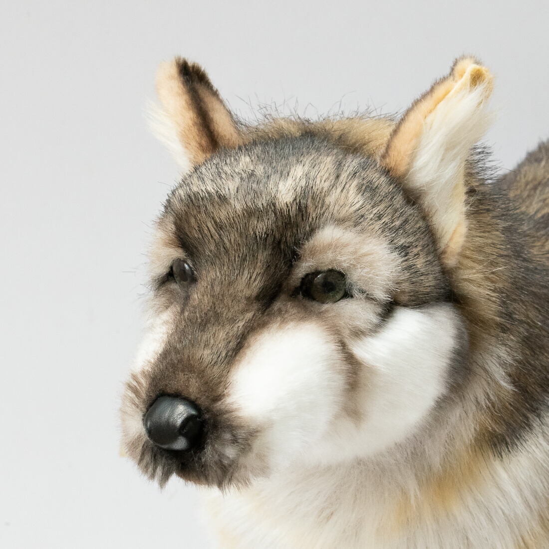 楽天市場】ハンサ【HANSA】リアルぬいぐるみ オオカミ60 : ナチュラル