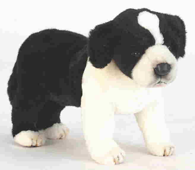 楽天市場】ハンサ【HANSA】リアルぬいぐるみボーダーコリー39cm