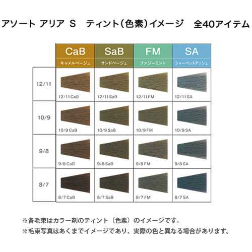 楽天市場】デミ アソート アリア S 第1剤 CaB キャメルベージュ / 80g