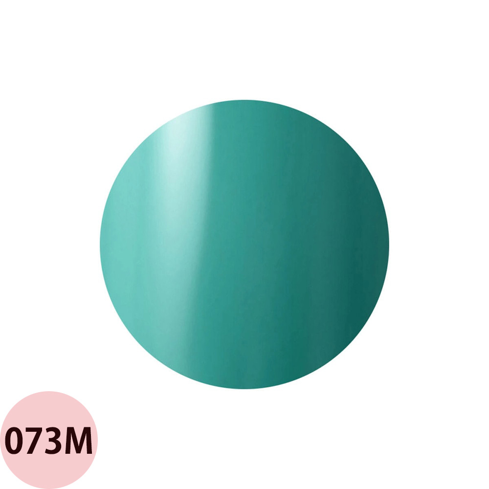 楽天市場】Raygel レイジェル カラージェル 全145色 マット M （2