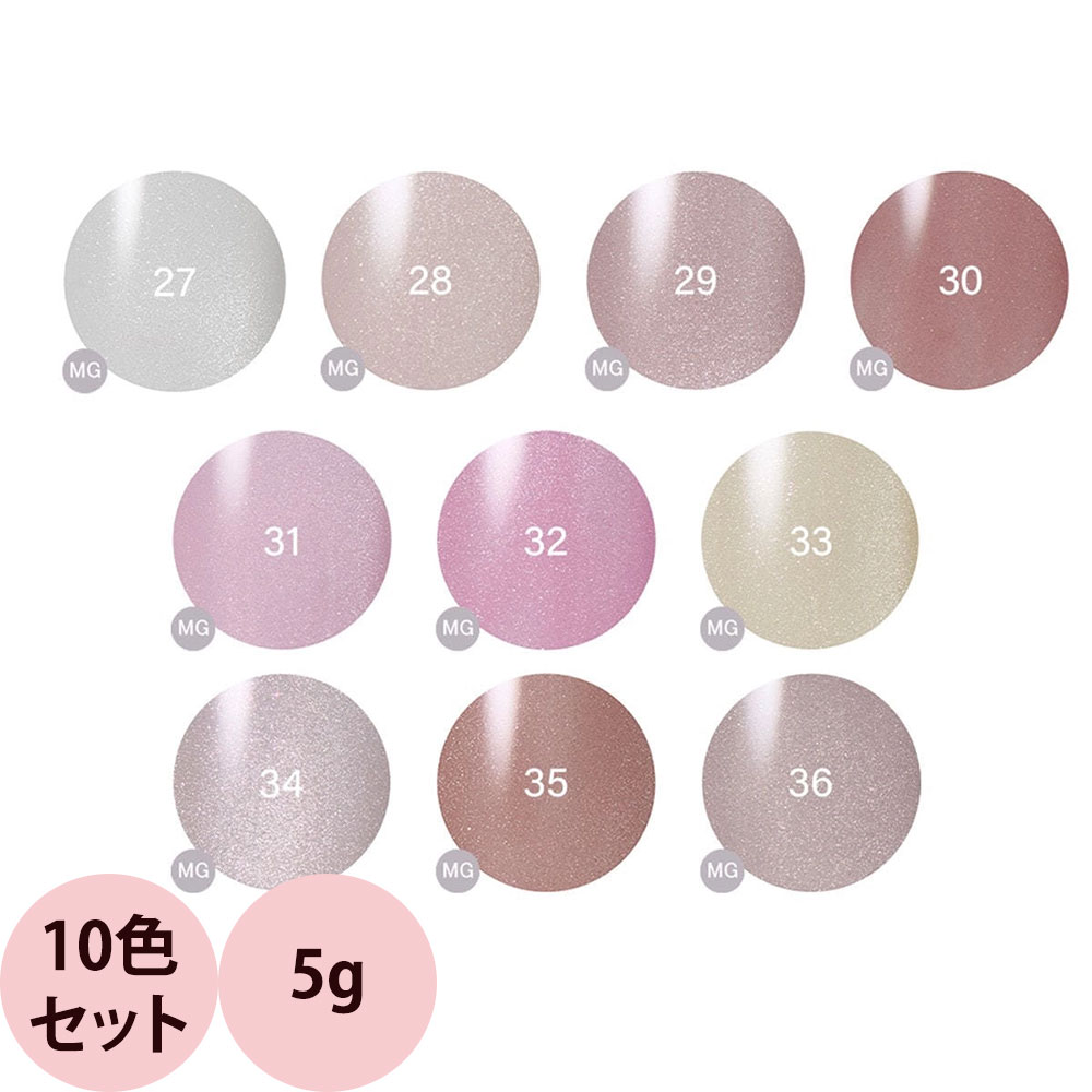 楽天市場】レイジェル マグネット カラージェル 新色10色セット 各5g