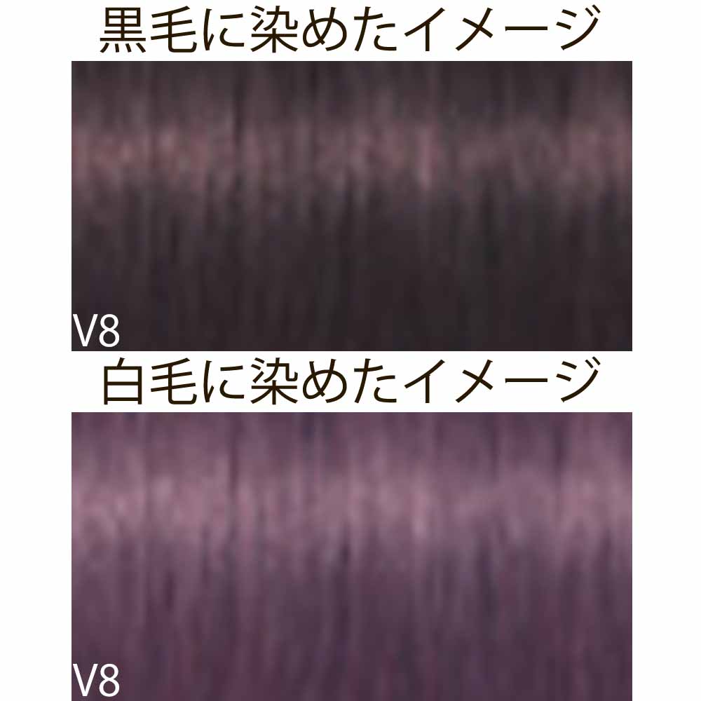 楽天市場】シュワルツコフ イゴラ ロイヤル ピクサム-F ブラウンと色味
