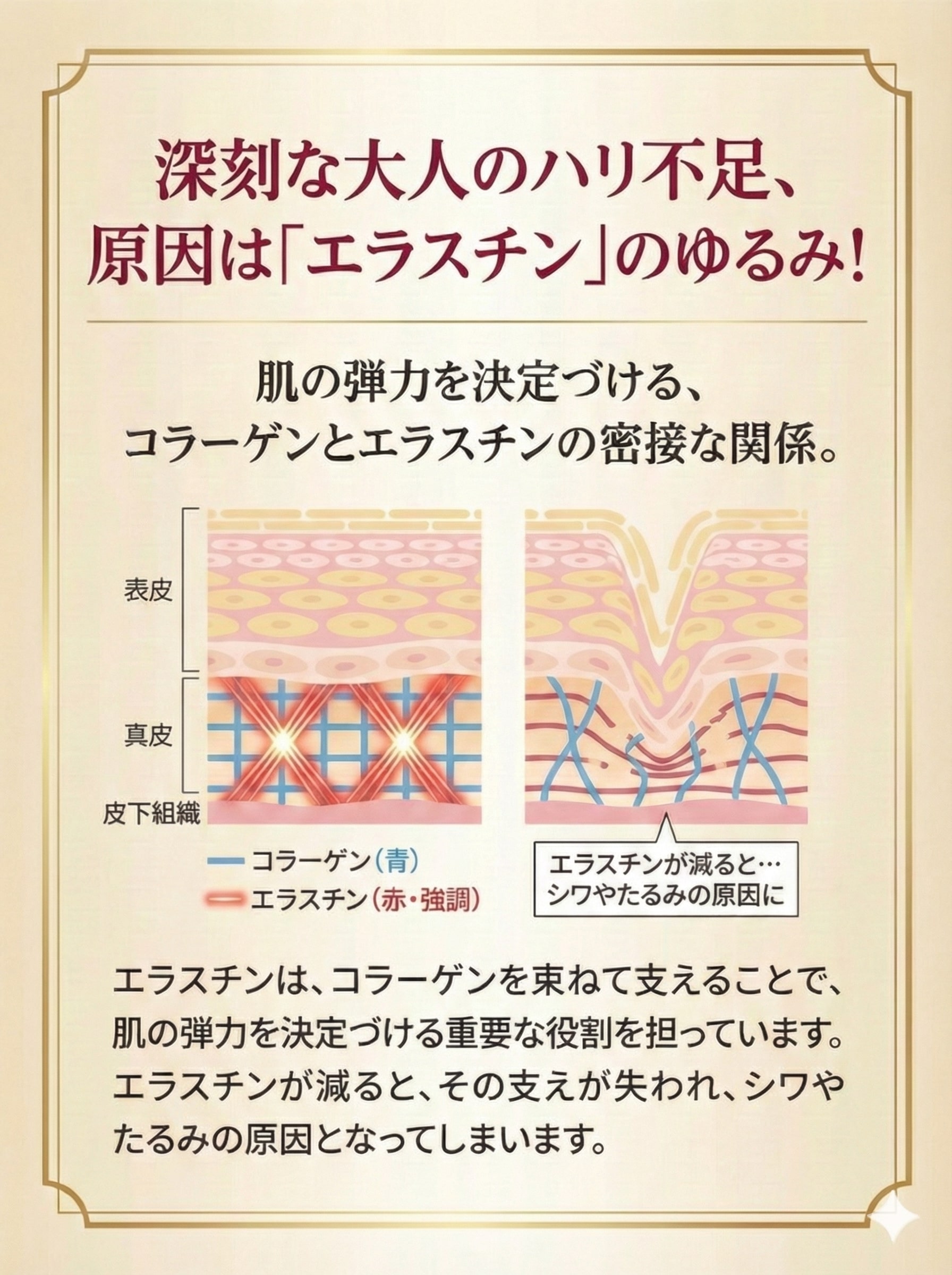 楽天市場】リアルエステコラーゲンPRO エポラーシェ トリプルサン 高