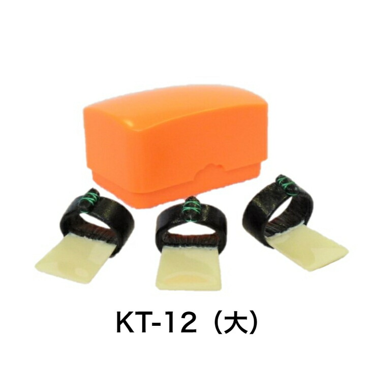 楽天市場】ゼンオン 箏爪（学校教育用） プラスチックケース入り 箏爪