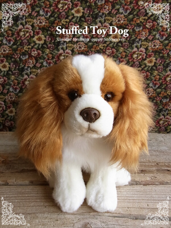 楽天市場】簡易ラッピングでお届け【Faithful Friends キャバリア