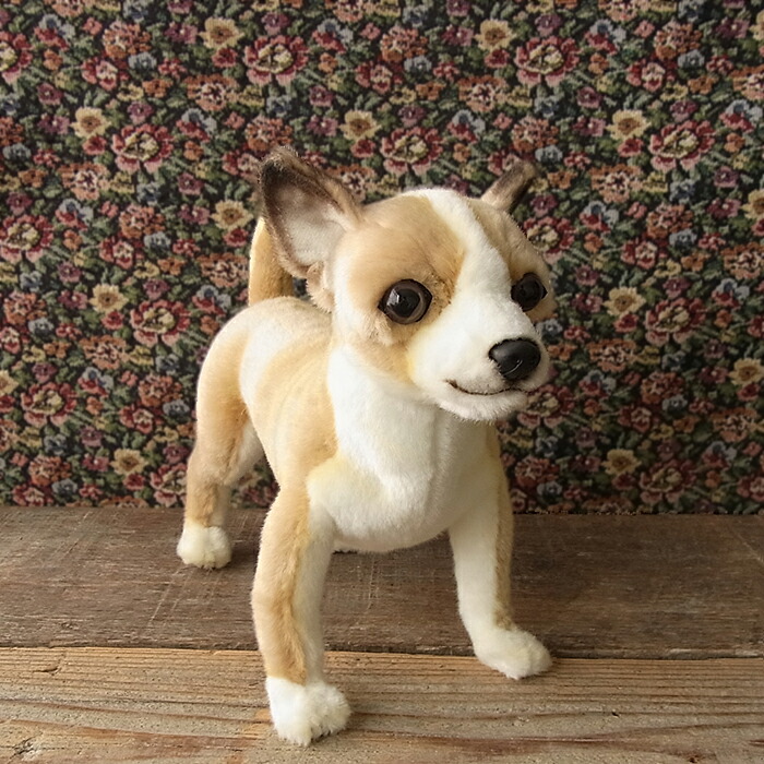 楽天市場】【HANSA チワワ27（クリーム） ぬいぐるみ】犬 いぬ イヌ