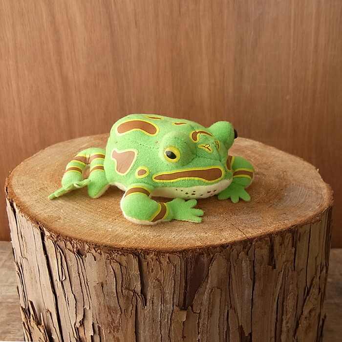 楽天市場】【TST Frog magnet ベルツノガエル マグネット ぬいぐるみ