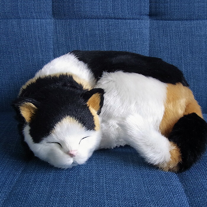 楽天市場】眠るように呼吸する パーフェクトペット (大サイズ) 三毛猫