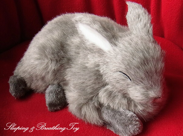 楽天市場】眠るように呼吸する パーフェクトペット (小サイズ) ウサギ