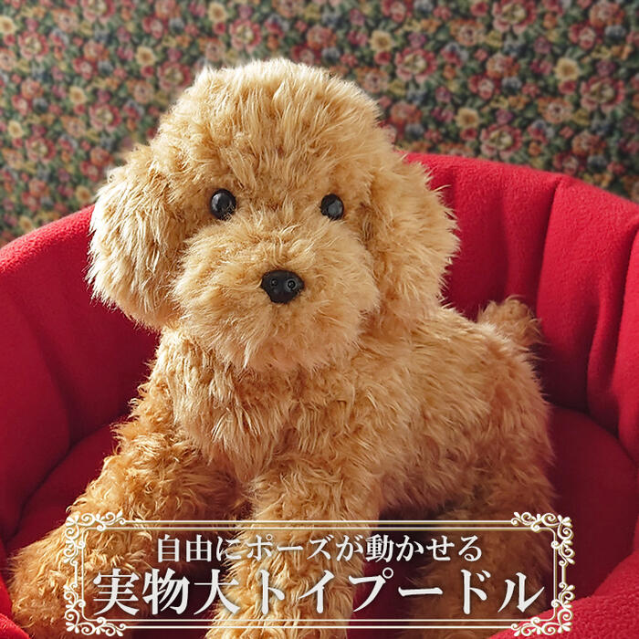 楽天市場】トイプードル ぬいぐるみ リアル 犬｜実物大サイズでポーズ
