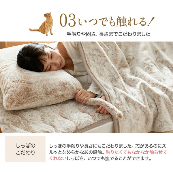 楽天市場】《3/11 1:59まで！P10倍×クーポン》≪TVで紹介≫【猫Feel