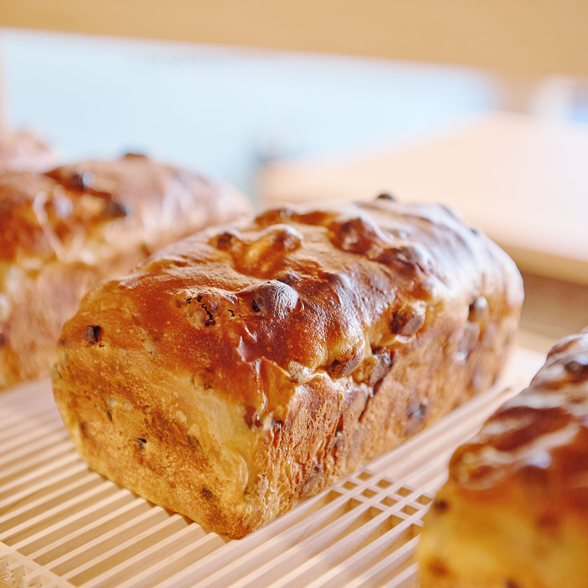 食パン レーズン」の人気商品一覧 | 安い商品を通販サイトから探す