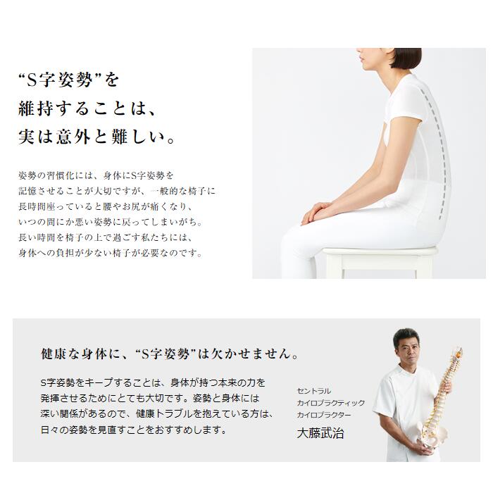 楽天市場】スタイルチェア- ディーシー 即納 Style Chair DC MTG 姿勢