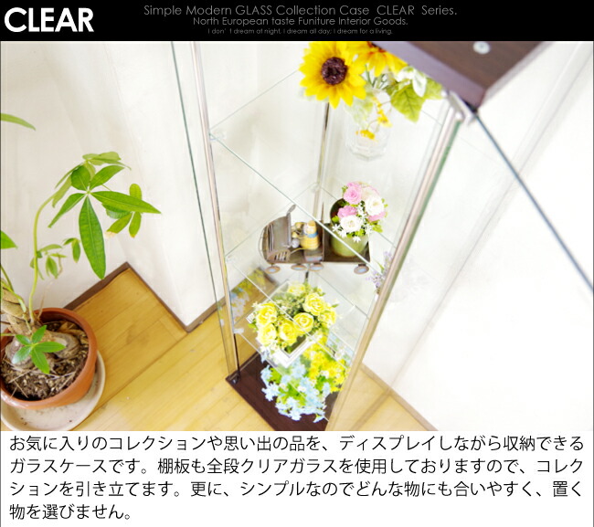 楽天市場】【背面クリアガラス張り】コレクションボード コレクション