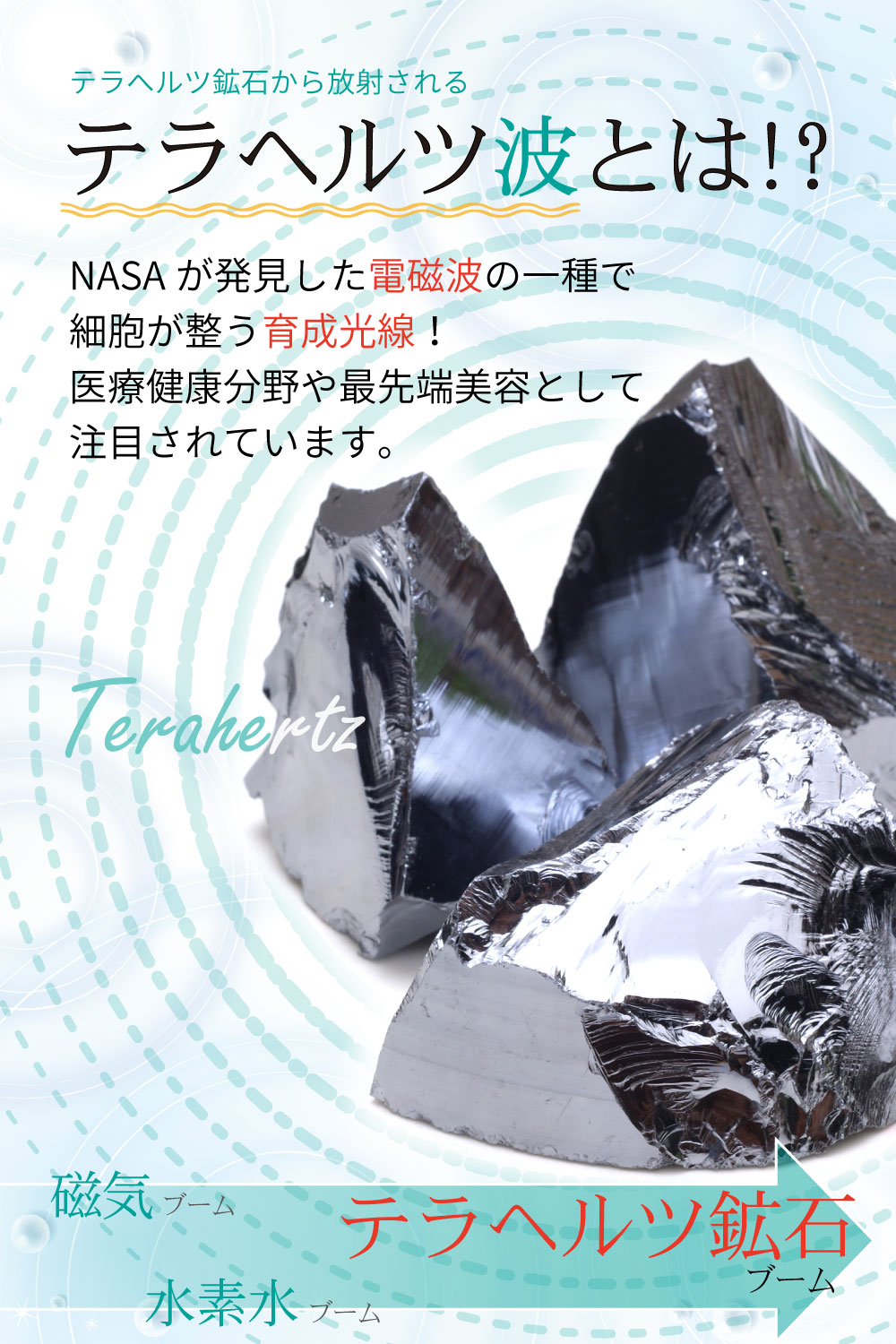 楽天市場】☆3月5日は今年一番の最強金運日☆エントリーでポイント29倍