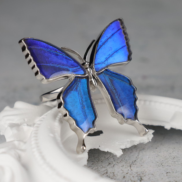 楽天市場】【スーパーセール◇10%OFF】（Psyche/現品) 本物の蝶の翅