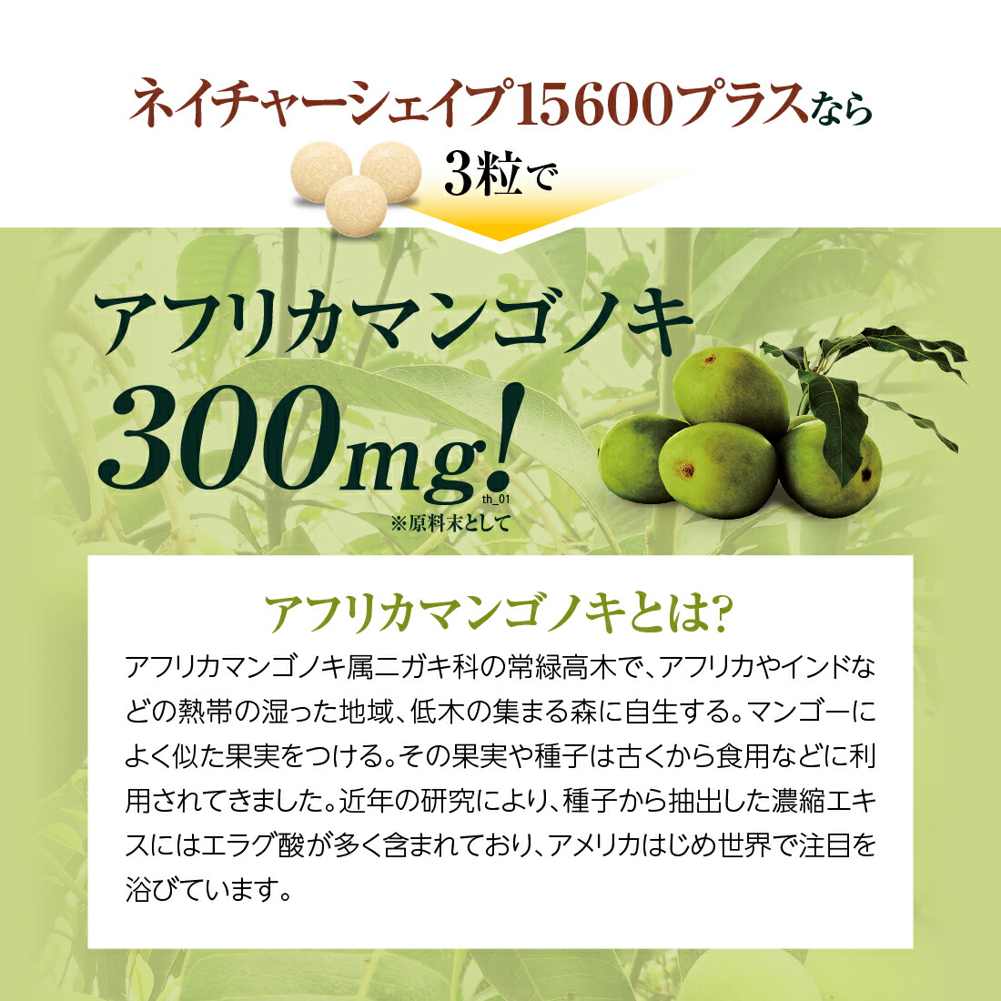 楽天市場】3個セット購入で1個無料！ 送料無料 finebase ネイチャー