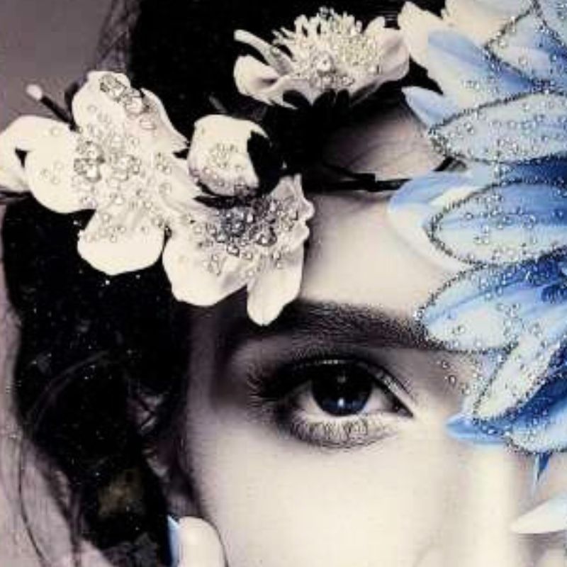 楽天市場】＼SS限定☆エントリーで最大100％ポイントバック／ アート