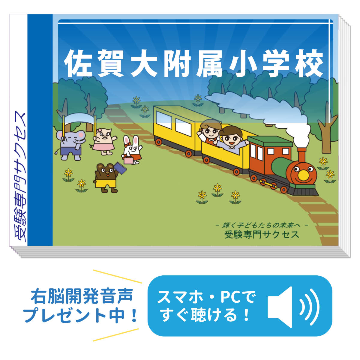 楽天市場】2026 佐賀大附属小学校・合格セット問題集 過去問の傾向と