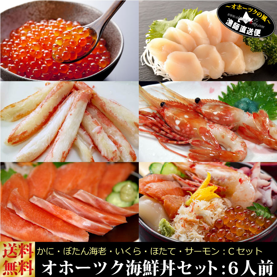 楽天市場】オホーツク 海鮮丼セット 特選 五種盛り 6人前 北海道 海鮮