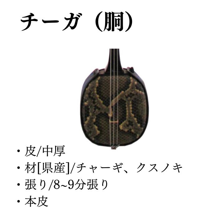 楽天市場】沖縄三線 アーティストモデル 大工哲弘 知念大工型 本皮