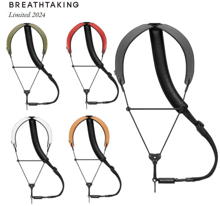 楽天市場】ブレステイキング/サクソフォン用ストラップ【ライザ