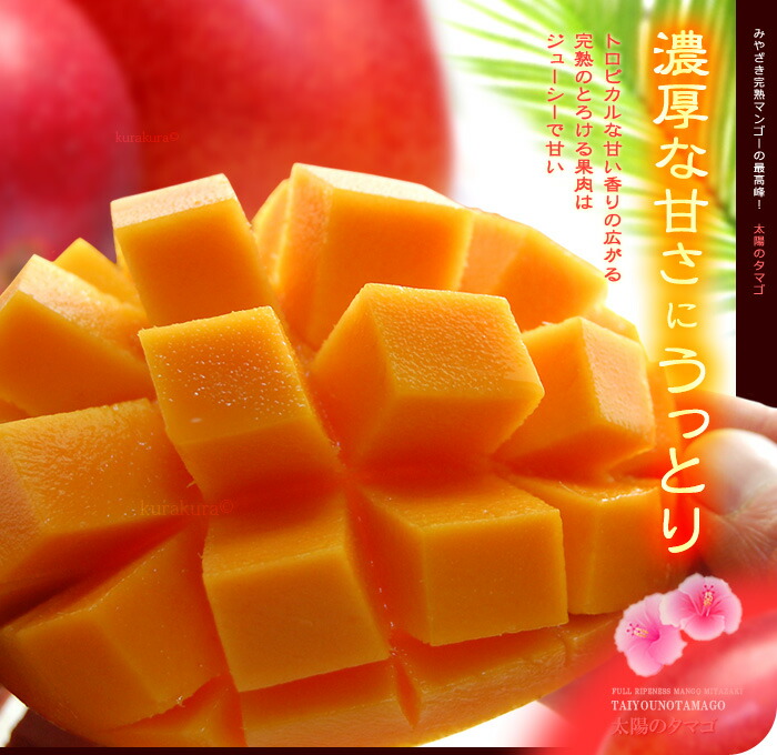 楽天市場】父の日 ギフト 太陽のタマゴ (3L×2玉/約900g) 宮崎産 赤秀