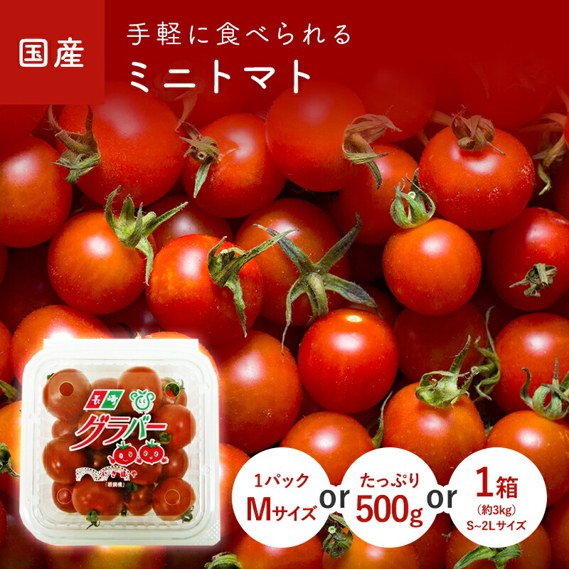 楽天市場】ミニトマト（プチトマト） 500g 1パック(Mサイズ) 1箱(S~2L