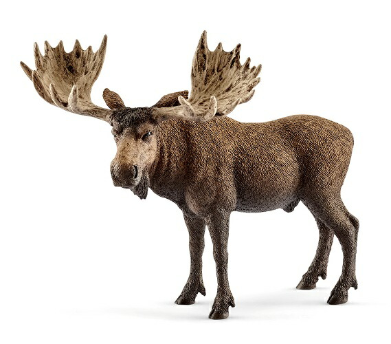 楽天市場】ヘラジカ（ホビー）の通販