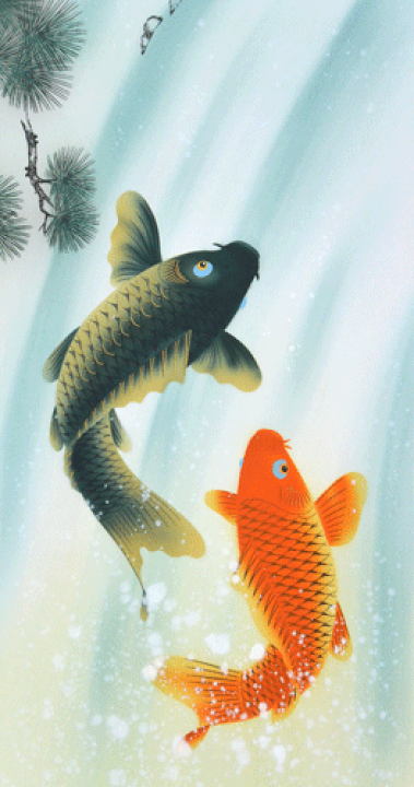 楽天市場】掛軸 鯉の滝昇り 中浦硯堂画(掛け軸 尺五立）幅54.5cm×丈