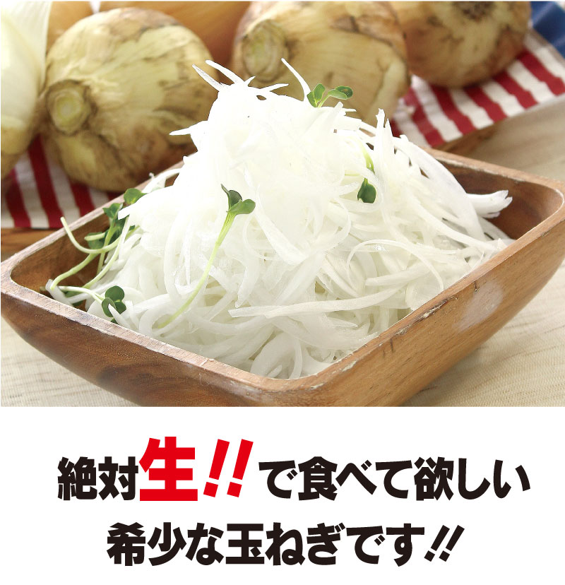 楽天市場】＼10%OFF／たまねぎ 塩たまちゃん 8kg 送料無料 ＜4月上旬