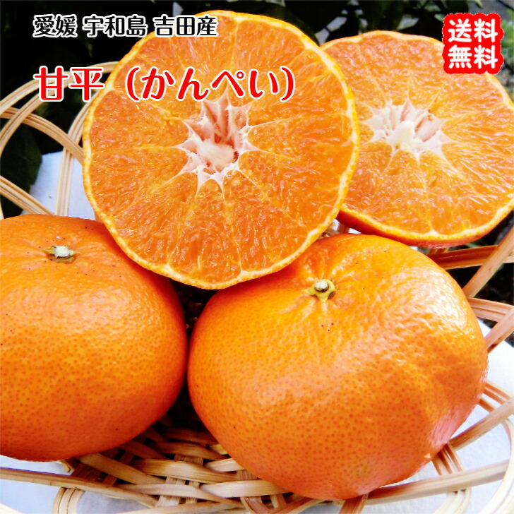 楽天市場】甘平 訳あり 10kgの通販