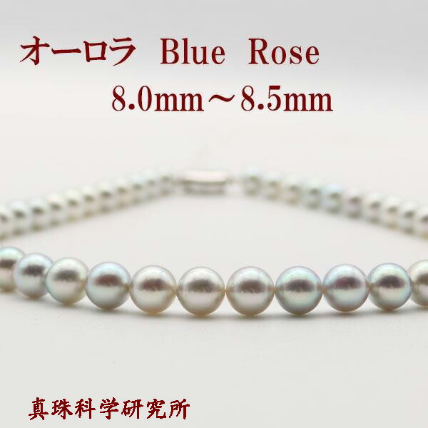 楽天市場】【動画】【330,000円→297,000円】真珠 パール ネックレス