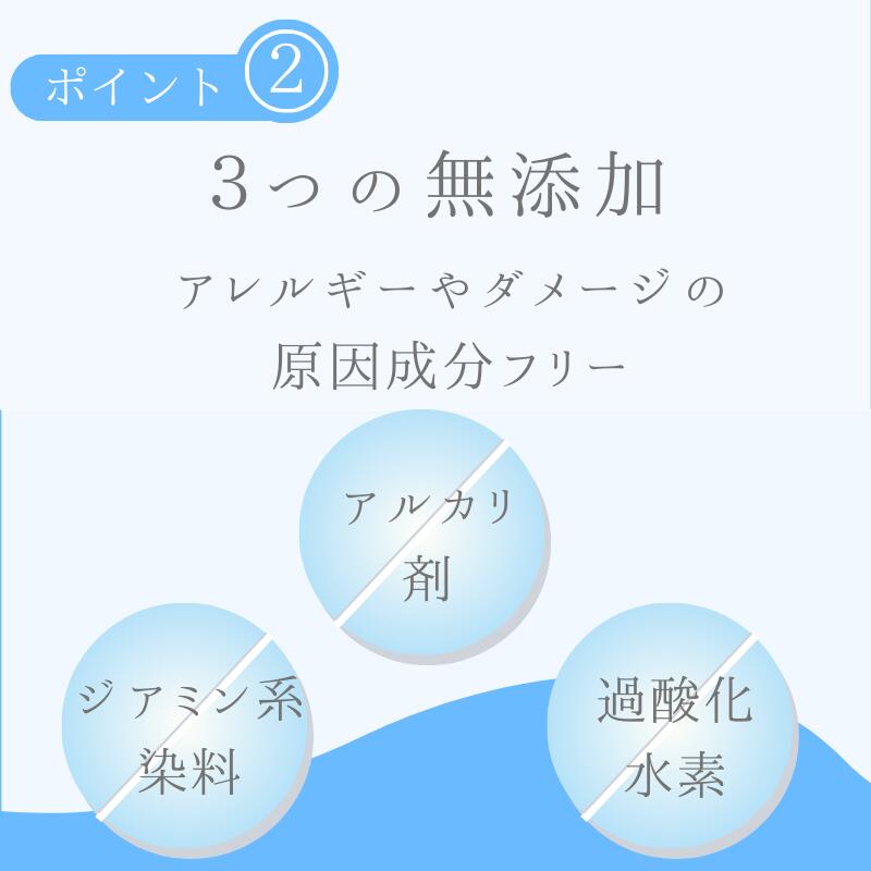 楽天市場】【3/3 20時～ 10％OFF＋最大1000円引クーポン】 白髪隠し
