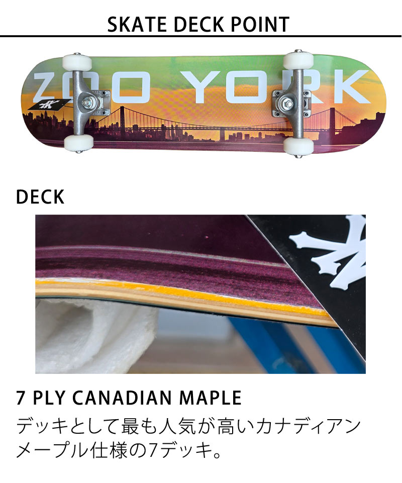 楽天市場】ZOOYORK ズーヨーク 7.75インチ スケボー スケートボード