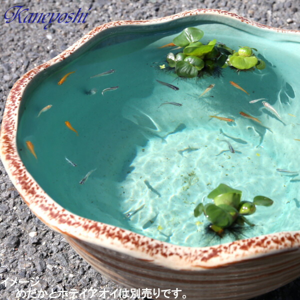 和＆アジアンテイスト重厚感のある木の葉型の陶器の睡蓮鉢陶器の魚の