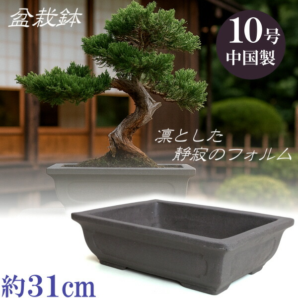 中国 植木鉢」の人気商品一覧 | 安い商品を通販サイトから探す - 価格.com