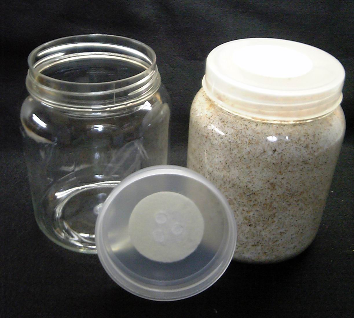 楽天市場】オオクワガタ専用 菌糸ビン（菌糸ボトル）！トレハ入り菌糸