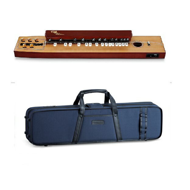 大正琴 ピック」の人気商品一覧 | 安い商品を通販サイトから探す