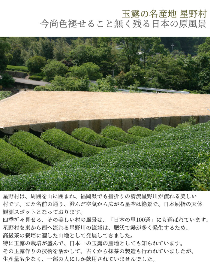 楽天市場】抹茶 星野園 延年之昔 100g缶 裏千家 坐忘斎御家元御好