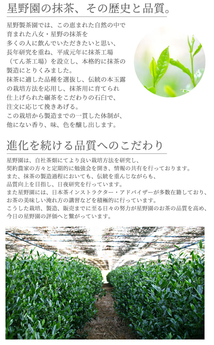 楽天市場】抹茶 星野園 八女の華 20g袋 チャック付き 福岡 八女 星野村