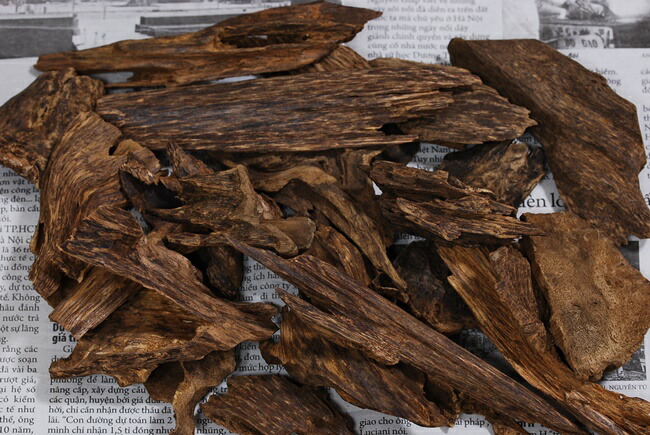 楽天市場】ベトナム産 天然沈香 高ランク甘味 5g 量り売り 沈水香木