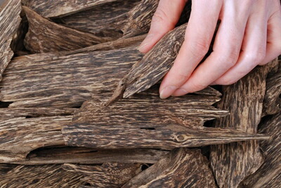 楽天市場】ベトナム産高級沈香 100g量り売り【中高ランク】栽培 沈水