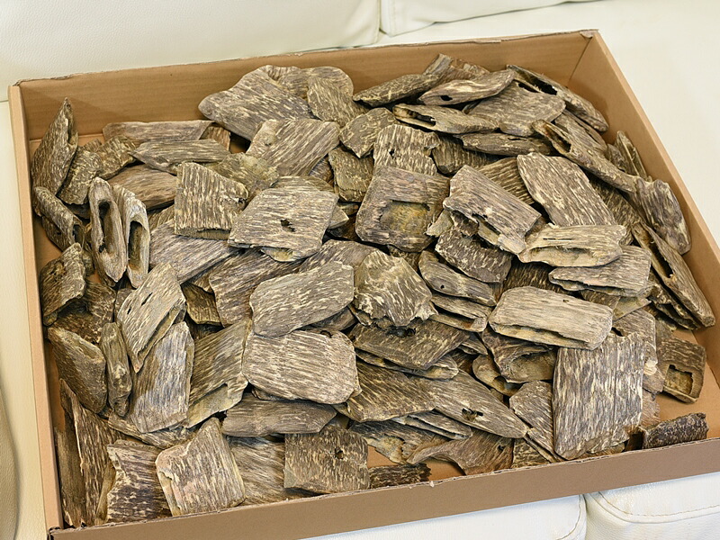 楽天市場】楽天スーパーSALE 沈香 ベトナム産高級栽培沈香【訳あり中高