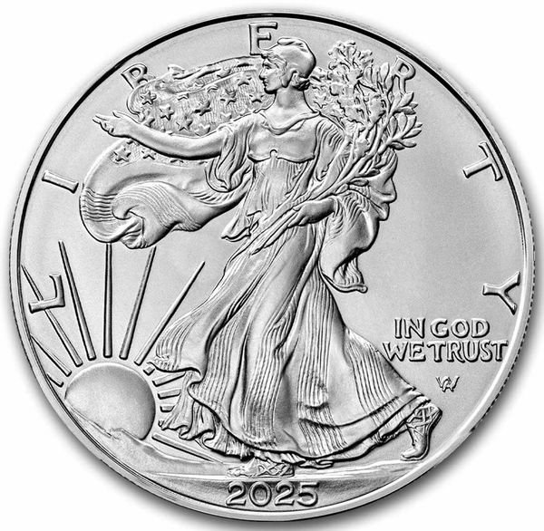 楽天市場】即納・追跡可 2025 1オンス アメリカ イーグル銀貨 (41mm