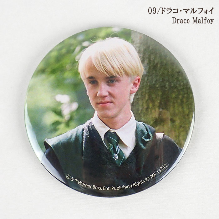 楽天市場】ハリーポッター グッズ/ FLAPPER フラッパー フィルムアート