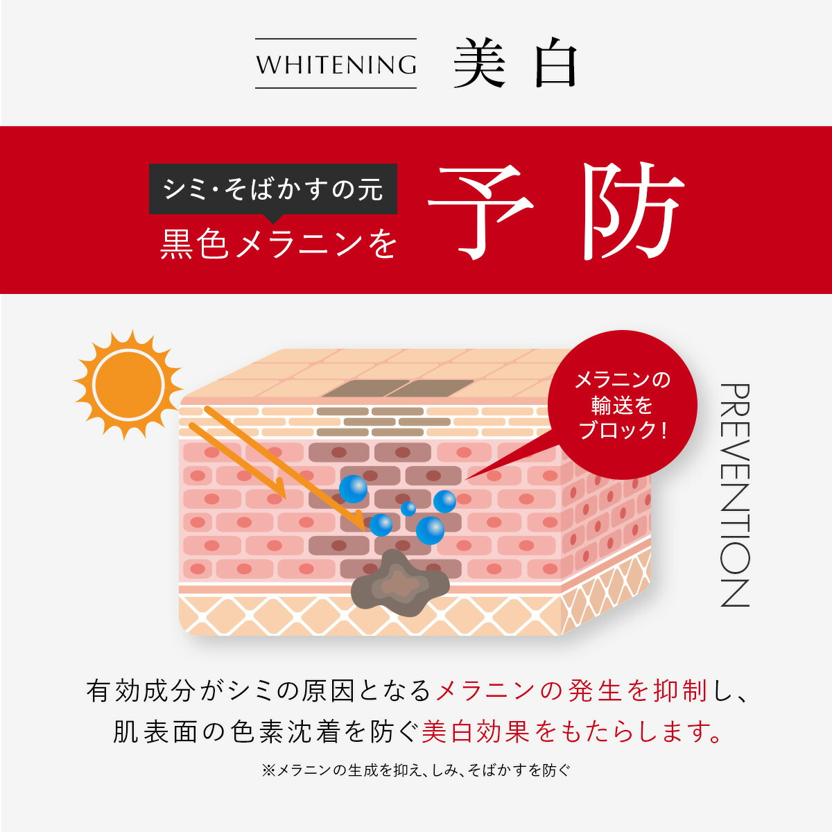 楽天市場】【SS☆20%OFFクーポン】リンクルリペア ブーストローション